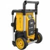 Myjka ciśnieniowa DEWALT DCMPW1600 2x18V 110bar